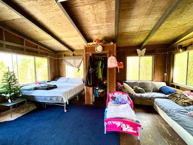 16-1088 Opeapea Rd, Mountain View, HI 96771 - photo 3