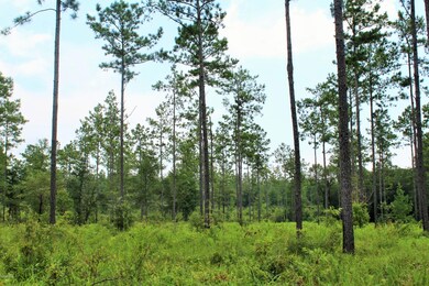 9ac Homestead, Lucedale, MS 39452 - photo 2