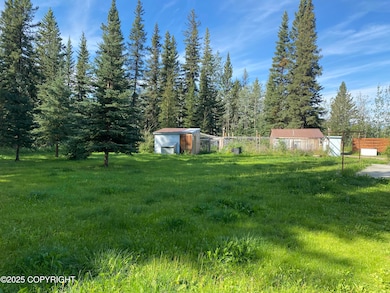 2812 Fales Rd, Delta Junction, AK 99737 - photo 5