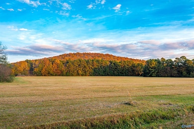 20 Six Mile Rd, Somerville, AL 35670 - photo 2