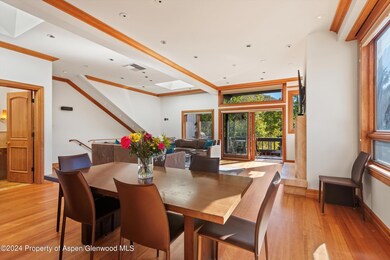 1085 Cemetery Ln unit A, Aspen, CO 81611 - photo 4