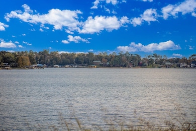 Shadywood Dr, Trinity, TX 75862 - photo 4