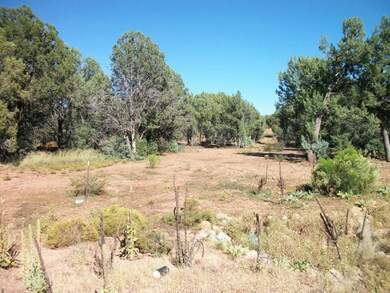 1107 W Beech Pkwy, Payson, AZ 85541 - photo 4