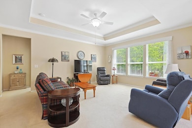 Carpeted living room with ceiling fan, a tray ceil
