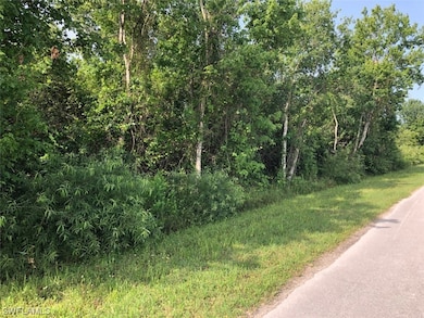 630 Shady Hollow Blvd W, Naples, FL 34120 - photo 3