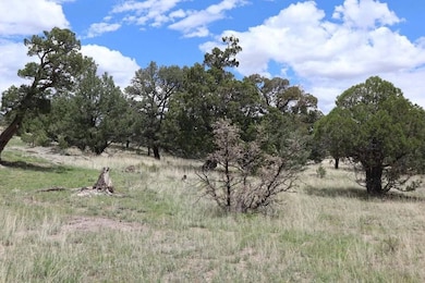 172 Windmill Cir, Datil, NM 87821 - photo 7