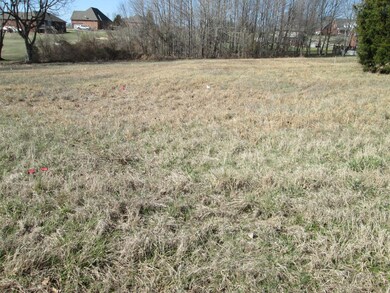 2068 Woodwind Cir, Greenbrier, TN 37073 - photo 6