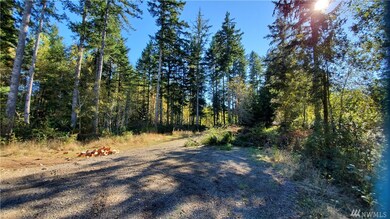 0 E Wild Grape Way unit 1665986, Grapeview, WA 98546 - photo 2