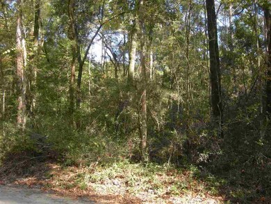 xx Neeley Rd unit x, Crawfordville, FL 32327 - photo 2