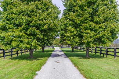 1230 Oregon Rd, Versailles, KY 40383 - photo 5