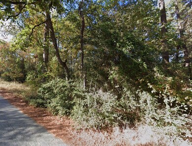 25 Sycamore Dr unit Huntsville TX 77320, Huntsville, TX 77320 - photo 6