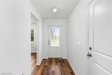 Foyer with dark hardwood / wood-style flooring