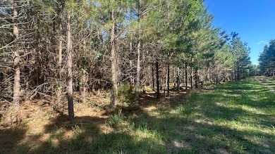 0 Dorsey Clark Rd unit 23736139, Sylvania, GA 30467 - photo 7