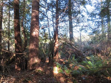 0 Wayne Rd W unit 3 18654977, Seabeck, WA 98380 - photo 6