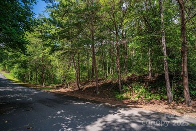 Lot 26 Line Dr, Forest City, NC 28043 - photo 5