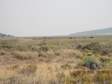 IMG_0013