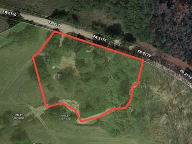 1067 Farm Road 2170, Exeter, MO 65647 - photo 2