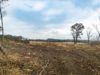 L1 Mineral Point Rd, Cross Plains, WI 53528 - photo 3