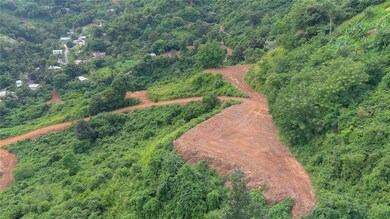 0 Carr 164, Naranjito, PR 00719 - photo 5