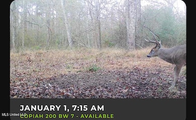 00 Pleasant Ln, Wesson, MS 39191 - photo 7