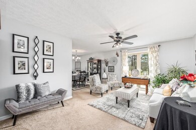 View of Living Room from Foyer