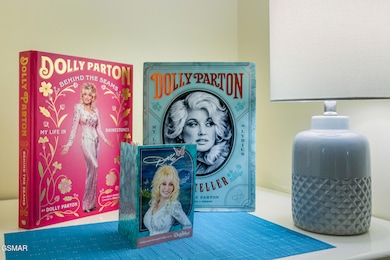 3215 N River Rd unit Ste 503, Pigeon Forge, TN 37863 - photo 6