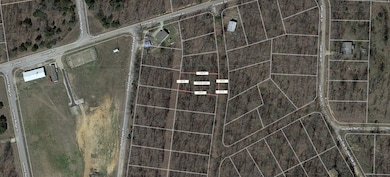 Lot 4 Oak Ln, Williford, AR 72482 - photo 4