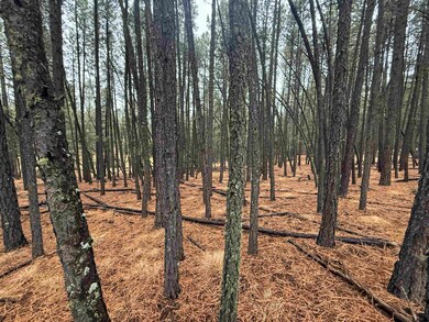 Lot 76 San Juan Dr, Angel Fire, NM 87710 - photo 2