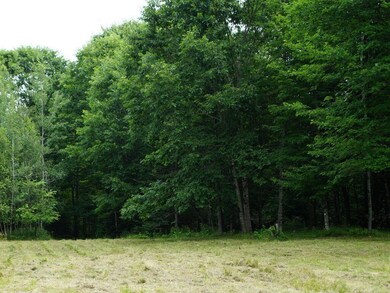 0 Lesperance Rd unit 1632283, Albion, ME 04910 - photo 4