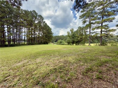 00 Spring Creek Rd, Jena, LA 71342 - photo 4