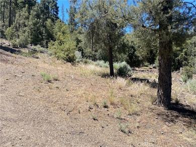 1912 Ironwood Dr, Pine Mountain Club, CA 93252 - photo 6