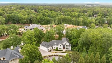 Drone / aerial view of a forest