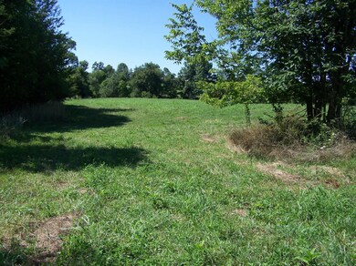 450 Jim Forsythe Ln, Harrodsburg, KY 40330 - photo 6