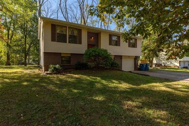 406 Aldergate St, Farmington, MO 63640 - photo 3