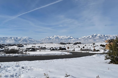 View from homesite