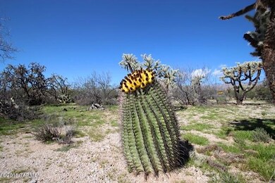IMG_3362