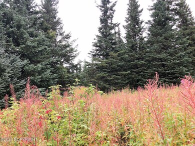 W3 Alaskan Wildwood Ranch(r), Nikolaevsk, AK 99556 - photo 3