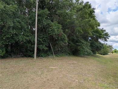 8246 N Golfview Dr, Citrus Springs, FL 34434 - photo 2