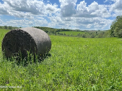 103 Franklin Bellinger Rd, Seward, NY 13459 - photo 6