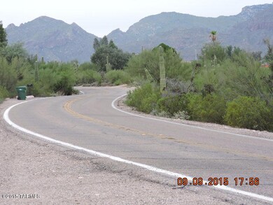 Camino Real 140