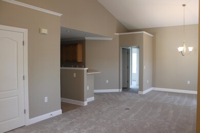 Living/Kitchen/dining