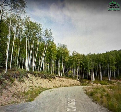 NHN Snowbasin Rd, Fairbanks, AK 99709 - photo 6