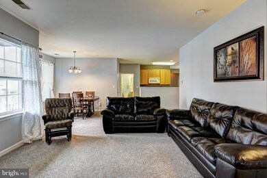 9617 Devedente Dr unit 205, Owings Mills, MD 21117 - photo 3