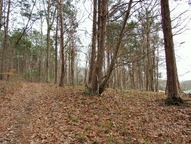 0 Mayberry Prong Rd unit 2105945, Linden, TN 37096 - photo 3