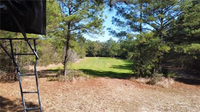 12860 Old Citronelle Rd, Chunchula, AL 36521 - photo 7