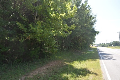 279 Expressway Dr, Manchester, TN 37355 - photo 5