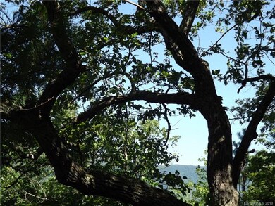 This is a view from the property.