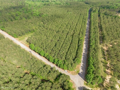 113 Buffalo Rd, Benton, LA 71006 - photo 2