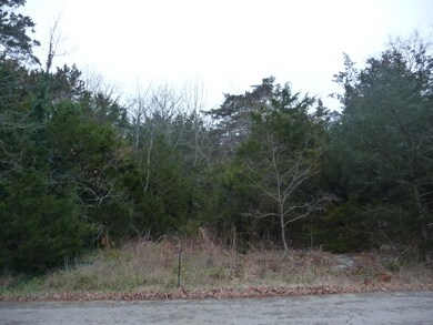 Lot 19 N Wilderness Trail, Kimberling City, MO 65686 - photo 2
