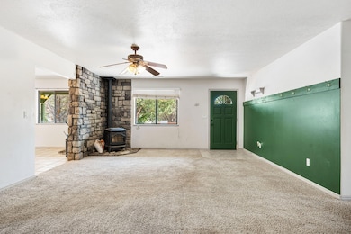 171 E Orchard, Central, UT 84722 - photo 4